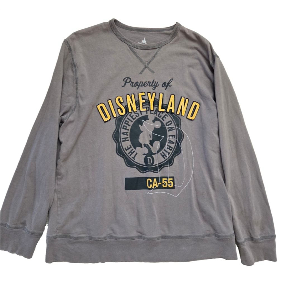 Men's Disney Parks Gray Disneyland Sweatshirt L